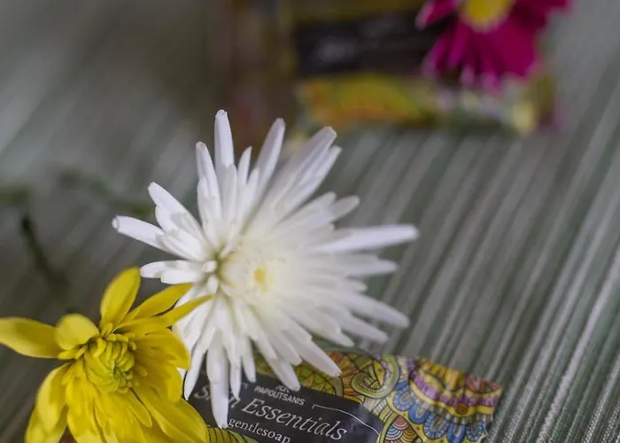 Hotel Faris Xirokampi